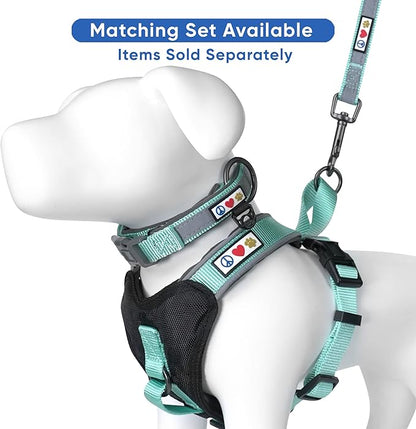 Pawtitas Lumberjack Padded Martingale Collar for Dogs | Soft Neoprene Dog Collar for Your pet's Comfort Made with Reflective Band for Maximum Visibility | Fits Small and Large Pets - Large Teal