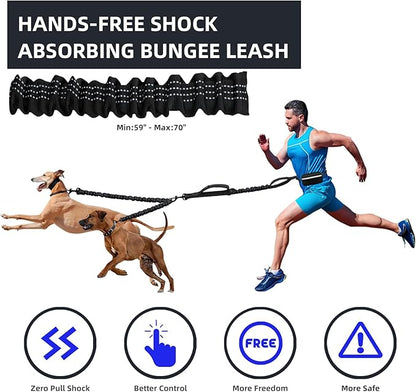 Uppetly Hands Free Double Dog Leash with Pouch, Dual Leash for 2 Dogs with Reflective Padded Handles, Durable Bungee and Lumbar Waist Belt for Walking, Jogging and Running (Small, 8-25 lbs)