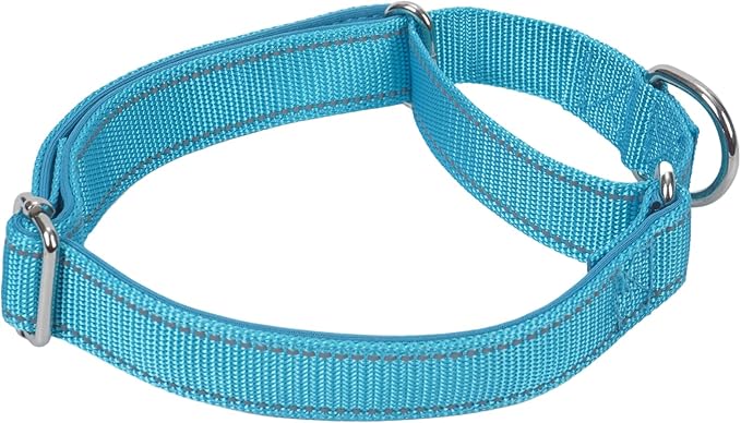 SGODA Martingale Dog Collar, Reflective Nylon Padded Dog Training Collars for Small Dogs, Blue S
