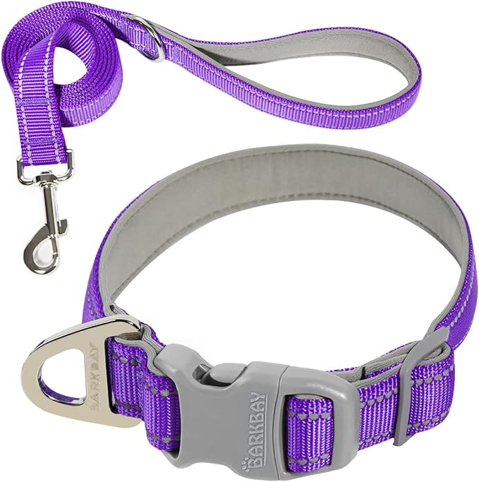 Dog Collar for Medium Small Large Dogs Reflective with Leash,Collar and Leash for Dogs,Soft Neoprene Padded 2 Pack(Purple,XS)
