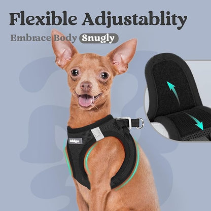 rabbitgoo Small Dog Harness, Step-in Soft Mesh Puppy Vest with Safety Buckle, Breathable Reflective Pet Harness for Extra Small Dogs, Black XXS