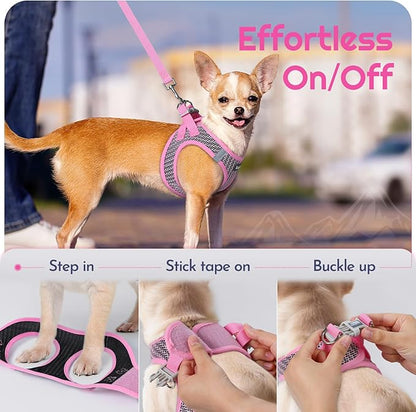 Eagloo Small Dog Harness and Leash Set, Step in Puppy Vest with Breathable Soft Mesh, Walking Reflective Pet Harness for Medium Small Dogs, Pink, M
