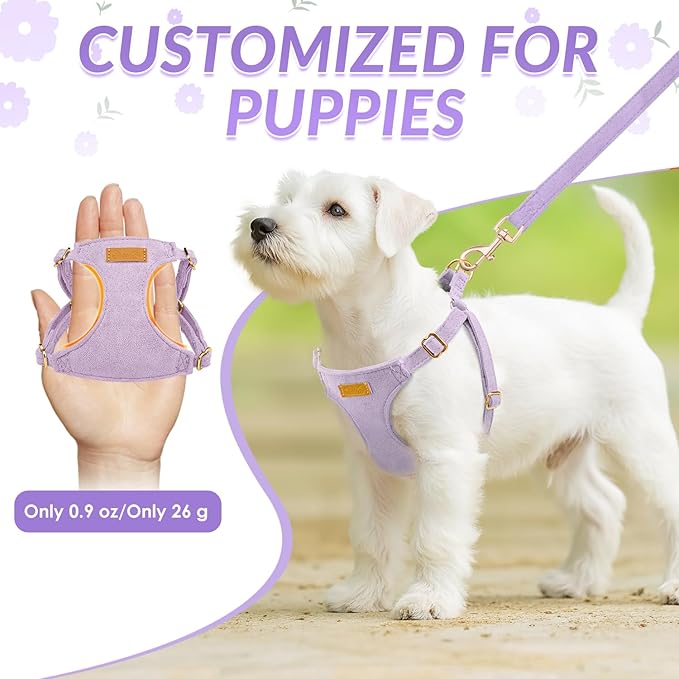 SlowTon Dog Harness Small Sized Dog - Soft XXS Dog Harness and Leash Set No Pull No Chock, Adjustable Lightweight Puppy Harness for XS Small Medium Dogs Cats (Solid Purple, S)