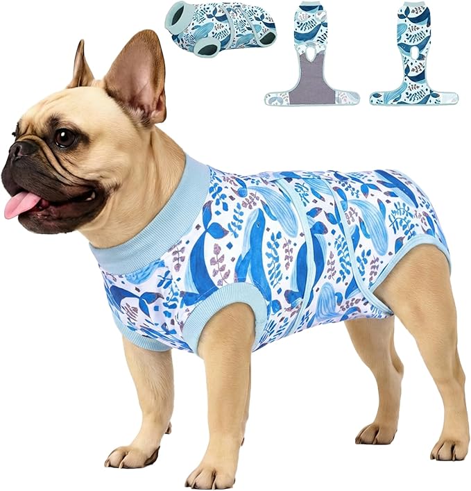 PetWarm Surgical Suit for Male Dogs After Neuter, Dog Surgery Suit, Cone of Shame Alternatives, Dog Surgical Recovery Onesies Female Male Dogs, Marine Animal Patterns, Blue, XS
