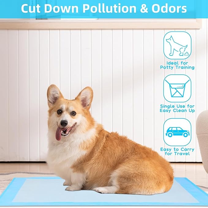 Super Absorbent Waterproof Dog and Puppy Pet Training Pad, Housebreaking Pet Pad, 40-Count Extra Middle-Size, 30’’X36’’, Blue