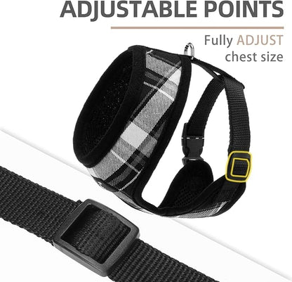 PUPTECK Soft Mesh Dog Harness and Leash Set Pet Puppy Cat Comfort Padded Vest No Pull Harnesses, Black, XS
