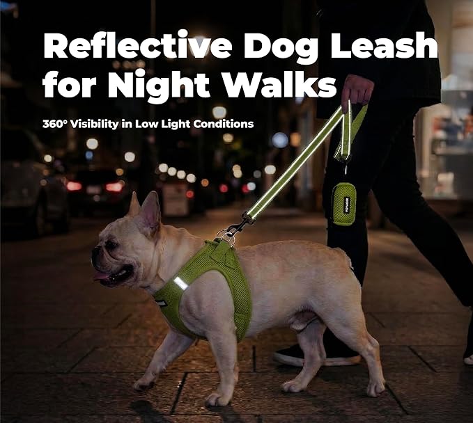 Best Pet Supplies Voyager Reflective Dog Leash or Collar with Neoprene Handle, for Small, Medium, and Large Breed Puppies, Cute and Heavy Duty for Walking, Running and Training - Lime Green (Leash), M