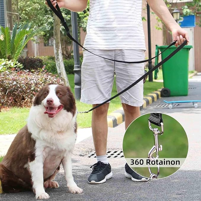 AMAGOOD 6 FT Cat Leash, Strong and Durable Traditional Style Leash with Easy to Use Collar Hook,Cat Lead Great for Cats (3/4 in x 6 ft,Black and Black(2-Pack))