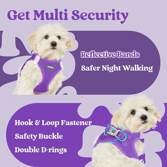 rabbitgoo Small Dog Harness, Step-in Soft Mesh Puppy Vest with Safety Buckle, Breathable Reflective Pet Harness for Small Medium Dogs, Purple XL