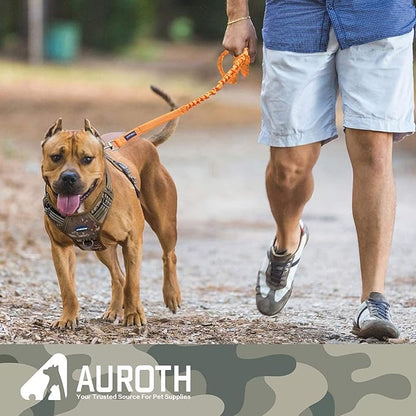 AUROTH Large Dog Leash - Heavy Duty Bungee, No Pull, Orange 6FT, 2 Padded Handles