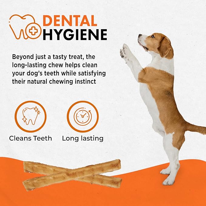 Canine Naturals Chicken Recipe Chew - Rawhide Free Dog Treats - Made From USA Raised Chicken - All-Natural and Easily Digestible - 40 Pack of 5 Inch Stick Chews