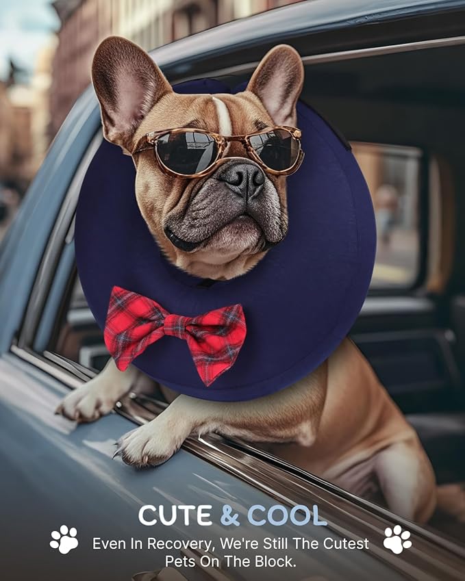 MIDOG Dog Cone Collar for Large Medium Dogs, Soft Inflatable Dog Cone Alternative After Surgery, Adjustable Protective Recovery Cone - Alternative E Collar Does Not Block Vision (Bow Tie,M)
