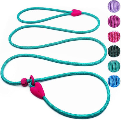 Slip Lead No Pull Dog Leash Slip Leads for Dogs Puppy Leash 6FT Slip Leash for Dogs Dog Lead with 6 Colors Strong Nylon Dog Training Leash Dog Leash (Green)