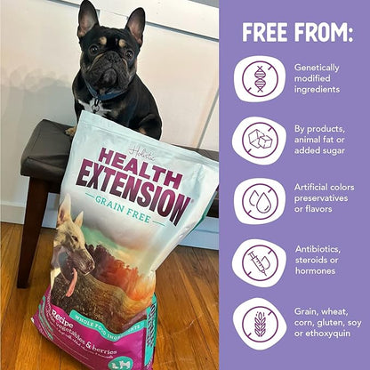 Health Extension Grain Free Salmon & Sweet Potato Dry Dog Food - 30+ Superfoods and Probiotics for All Life Stages (10 lb)