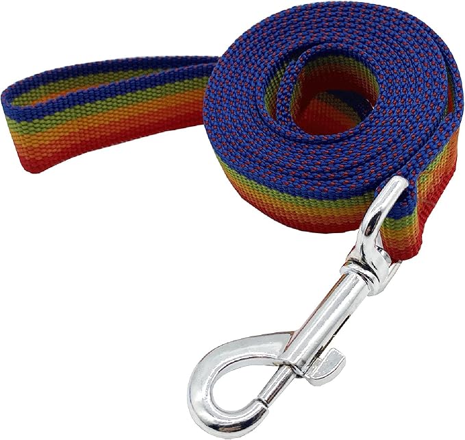Nylon Dog Training Leash, Traction Rope, 4/5/6 Feet Long, 3/4 Inch 1 Inch Wide, for Small and Medium Dogs (1'' x 4 FT, Rainbow)