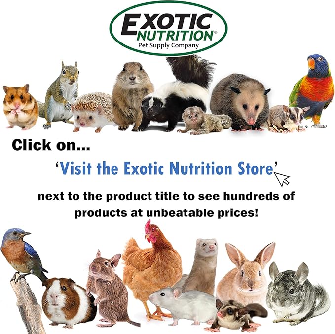 Exotic Nutrition Dried Rose HIPS (3 oz.) - Healthy Natural Treat - Chinchillas, Guinea Pigs, Rabbits, Prairie Dogs, Degus, Hamsters, Rats, Squirrels, Parrots, Chickens, Ducks & Other Small Pets