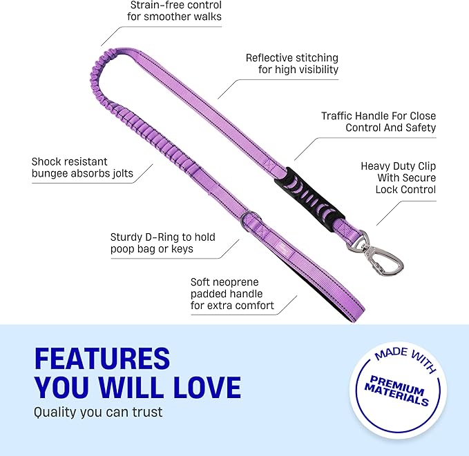 Dog Friendly Co. Bungee Dog Leash | Strain Free & Shock Resistant for Control | Neoprene Padded Handle, Heavy-Duty Carabiner Clip, and D-Ring | Purple, Size Small