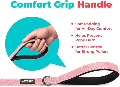 Best Pet Supplies Voyager Reflective Dog Leash or Collar with Neoprene Handle, for Small, Medium, and Large Breed Puppies, Cute and Heavy Duty for Walking, Running and Training - Pink (Leash), L