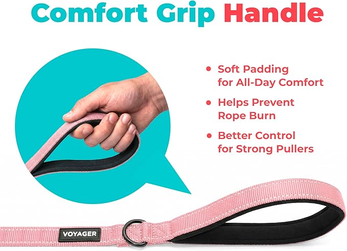 Best Pet Supplies Voyager Reflective Dog Leash or Collar with Neoprene Handle, for Small, Medium, and Large Breed Puppies, Cute and Heavy Duty for Walking, Running and Training - Pink (Leash), S