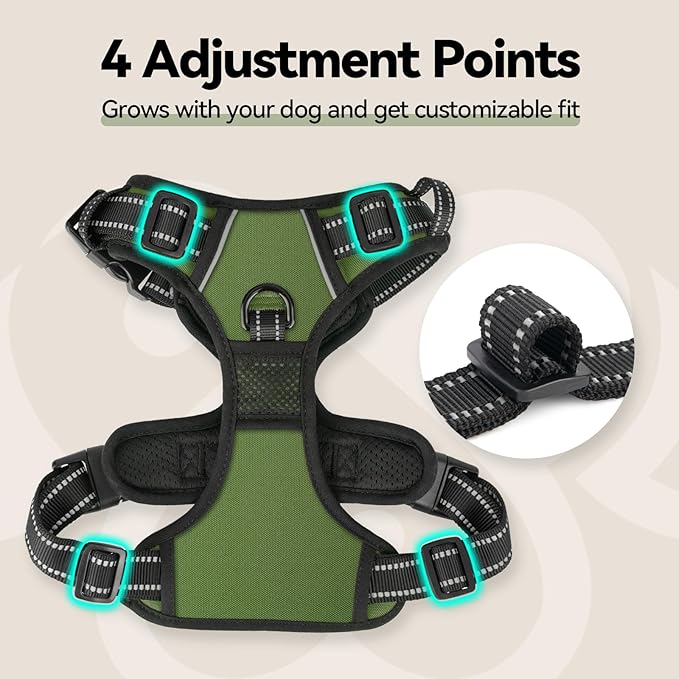 PHOEPET No Pull Dog Harness with Handle Front & Back Clip, Easy on Lockable Snap Buckle at Neck, Adjustable Reflective Vest with Handle for Small Medium Large Dogs (S, Misty Green)