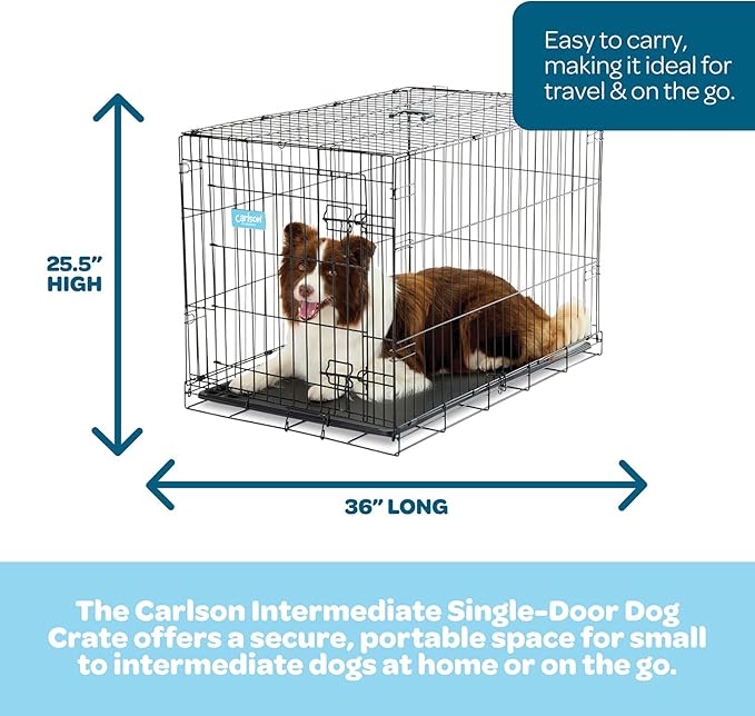 Carlson Pet Products Single Door Metal Dog Crate, Intermediate 36" Dog Crate for Medium to Large Dogs, Foldable Collapsible Dog Kennel with Removable Tray, Portable Wire Dog Cage for Training & Travel