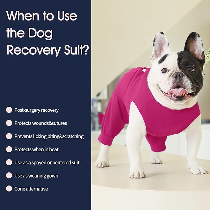 IECOii Dog Surgery Recovery Suit for Female Or Male Dogs,Post Surgery Dog Onesies for Spay Neuter,Small Dog Surgical Suit for Abdominal Wound and Rear Leg,Dogs E-Collar & Cone Alternative,S-Rosered