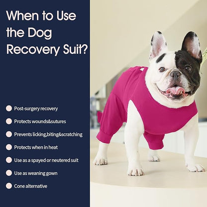 IECOii Dog Surgery Recovery Suit for Female Or Male Dogs,Post Surgery Dog Onesies for Spay Neuter,Small Dog Surgical Suit for Abdominal Wound and Rear Leg,Dogs E-Collar & Cone Alternative,S-Rosered