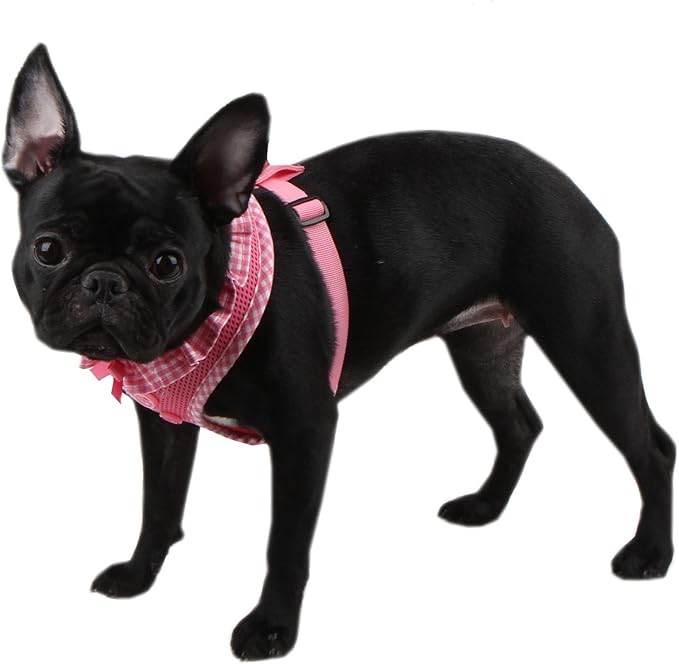 Authentic Puppia Vivien Harness, Pink, Large