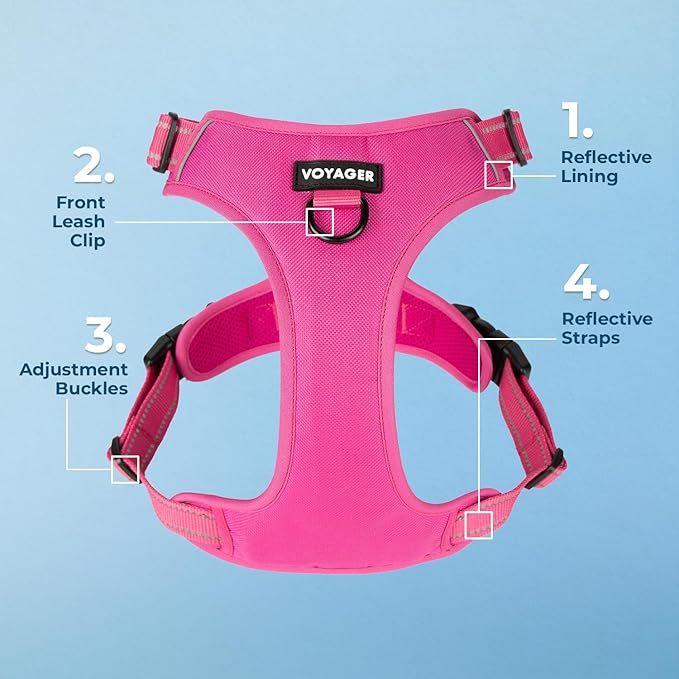Voyager Dog Harness Dual Leash Attachment No-Pull Control Adjustable Soft but Strong Pet Harness for Medium and Large Dogs with 3M Reflective Technology, Fuchsia Nylon, XL (Chest: 28-37")