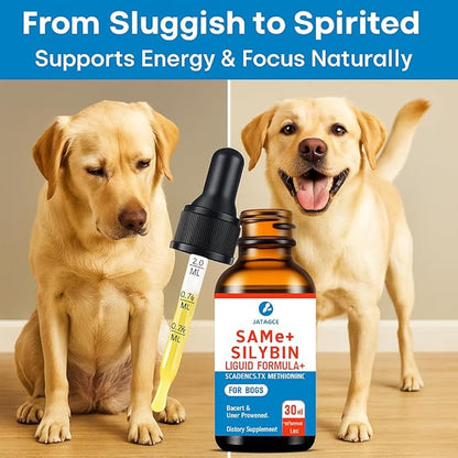 SAMEe for Dogs 500mg Liquid Drops with Silybin – Bacon Liver Flavored Liver Support Supplement for Dogs – S-Adenosyl Methionine & Milk Thistle Extract – 30ml (1oz)