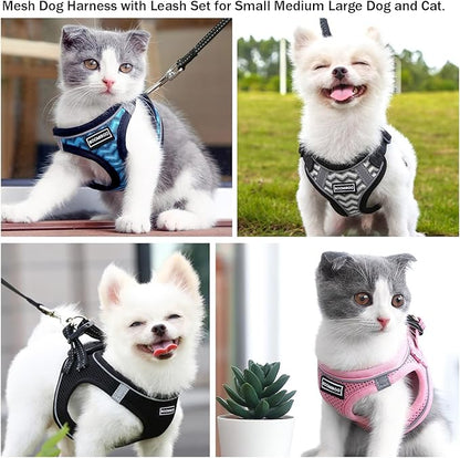 Dog Harness with Leash Set, No Pull Adjustable Reflective Step-in Puppy Pet Vest Harnesses for Small Medium Large Dogs and Cats,Rose Red XS