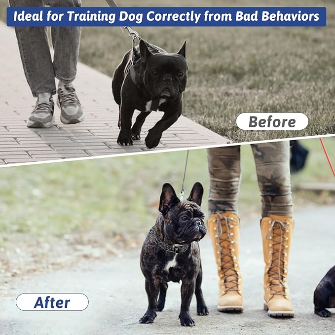 Pinch Collar for Dogs, Prong Training Collar with Quick Release Buckle for Dog Pulling Behavior Correction, Adjustable Pinch Leashes (XL / 23-26" Neck Size)