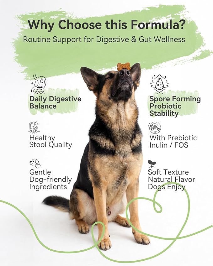 Probiotic Soft Chews for Dogs – Daily Gut & Digestive Support, Spore-Forming Probiotic with Multi-Strain Lactobacillus, Prebiotic Inulin/FOS, Chicken Flavor, 120 Chews