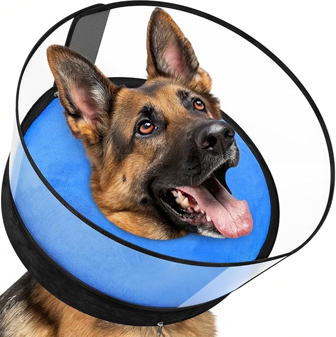 BARKLESS Dog Donut Collar, 2-in-1 Inflatable Dog Collars for After Surgery to Stop Licking Wounds, Patented Protective Donut Cone with High Shield for Small and Medium Pets (Blue, M+)