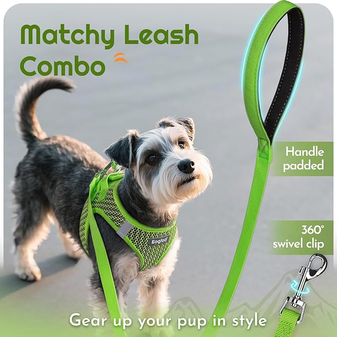 Eagloo Small Dog Harness and Leash Set, Step in Puppy Vest with Breathable Soft Mesh, Walking Reflective Pet Harness for Medium Small Dogs, Green, M
