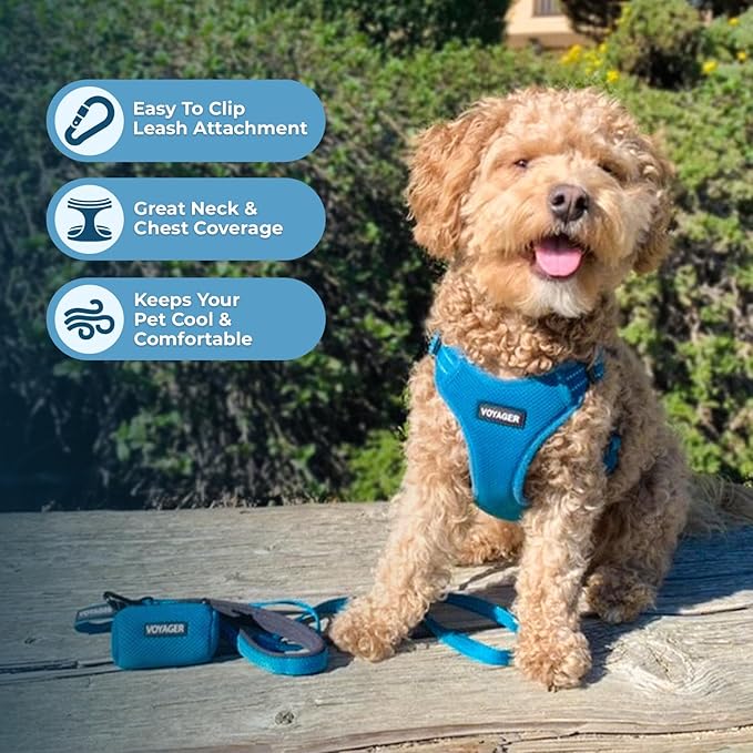 Best Pet Supplies Voyager Adjustable Step-in Flex Breathable Mesh Dog Harness for Small Medium Large Dogs (Turquoise), M