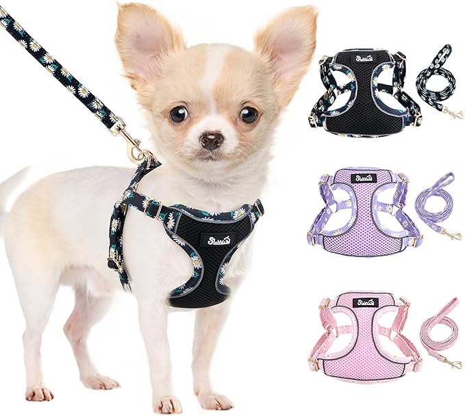 Lukovee No Pull Puppy Harness and Leash Set - Soft Lightweight Escape Proof Puppy Vest Harness, Breathable Adjustable Pet Harness with Dog Leash for Small Dogs (Black, M)