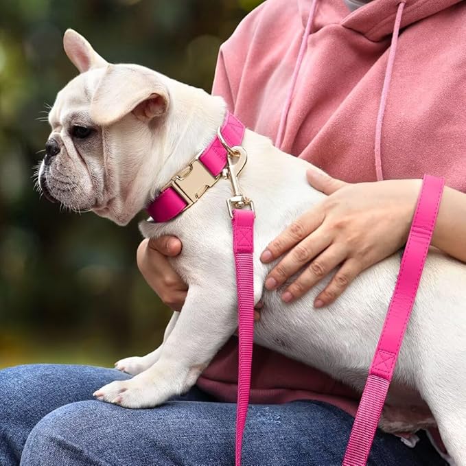 PET ARTIST Soft PU Leather Dog Collar and Leash Set, Bright & Stylish 5FT PU Leather Leash and Collar Set, Durable Pet Collars with Quick Release Metal Buckle for Medium Dogs,Hot Pink,M(13-19")