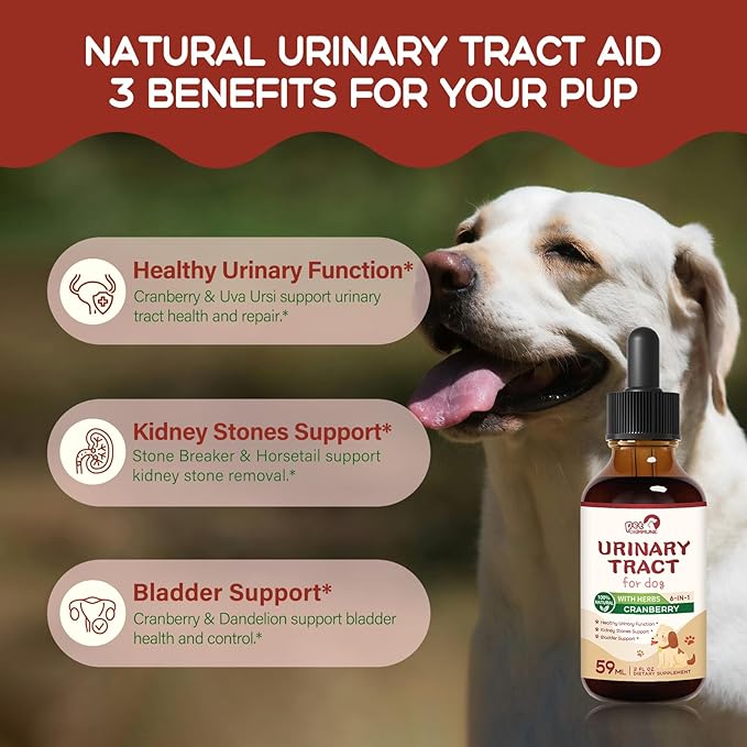 Urinary Tract for Dog Drops Support Healthy Urinary Function, Kidney Stones Support & Bladder Support, Natural Herbal Liquid Drops. 4oz-Natural