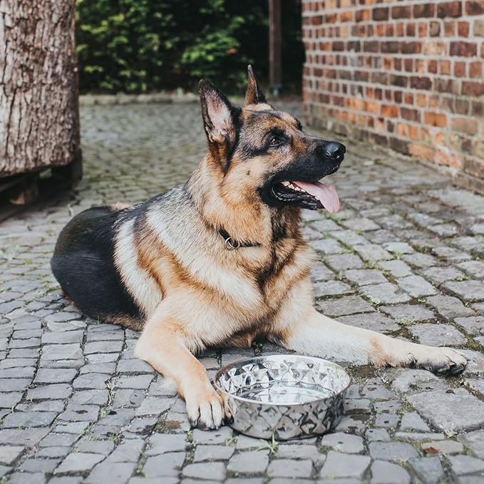 Hunter Silicone Stainless Steel Dog Feeder 4.1 L