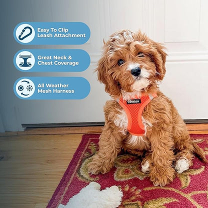 Best Pet Supplies Voyager Step-in Air All Weather Mesh Harness and Reflective Dog 5 ft Leash Combo with Neoprene Handle, for Small, Medium and Large Breed Puppies - Set (Orange), XL