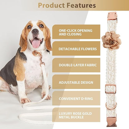 Beige Dog Collar and Leash Set Adjustable Lace Dog Collar for Large Dogs with Flowers & Rose Gold Metal Clasp for Pet Wedding Birthday Outfit,L