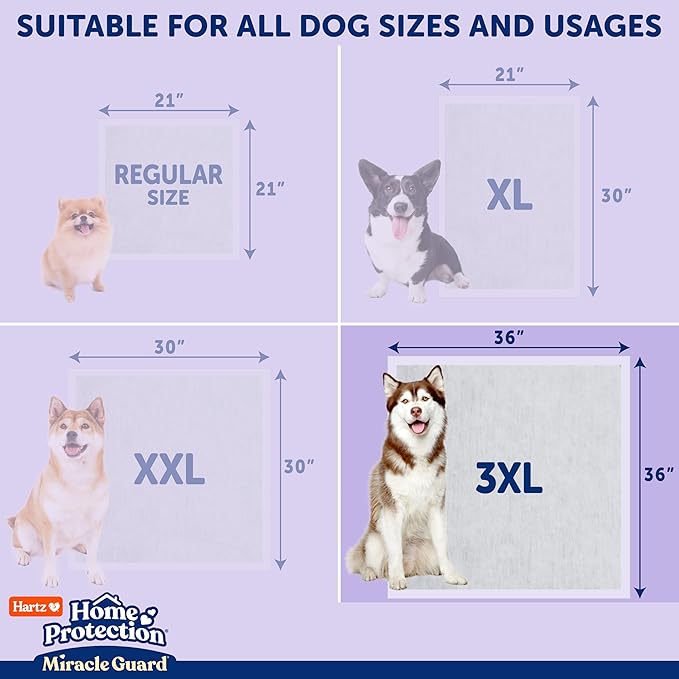 Hartz Miracle Guard Dog and Puppy Dog Pads Max Absorbency 24 Hour Use Odor Eliminating Lavender Scented No Leaks, 3XL Size 20 Count
