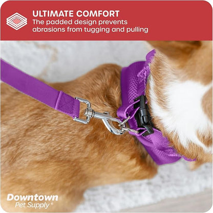 Downtown Pet Supply Step-in Dog Harness – No Pull, Adjustable Padded Mesh with Reflective Trim, Secure Buckle Strap – Comfortable & Breathable Small Dog Harness, Large, Purple