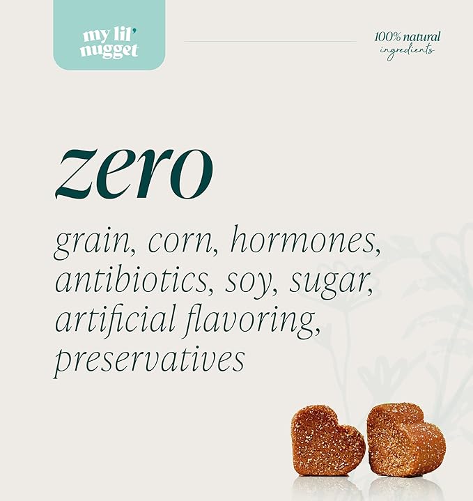My Lil’ Nugget - Vet-Approved Mood & Cognition Chews for Dogs | All-Natural Dog Mental Health Support & Improve Memory | Lion’s Mane & Ashwagandha | Helps Puppy to Senior Dogs | 90 Salmon Flavor Chews