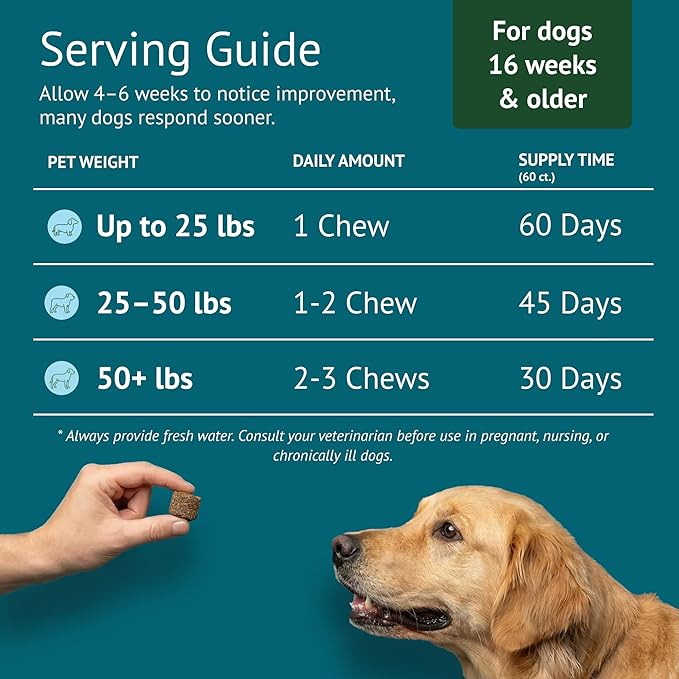 Allergy Relief Dog Chews – Quercetin, Turmeric, Ashwagandha, Probiotics & Colostrum – Seasonal Allergy, Immune & Digestive Support – for Itchy Skin & Hot Spots – All Breeds & Sizes