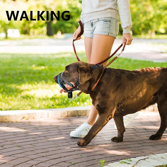 Dog Head Collar with Soft Fabric, Head Harness Stops Dog Pulling, Head Leash for Small Medium Large Dogs Walking (L, Green)
