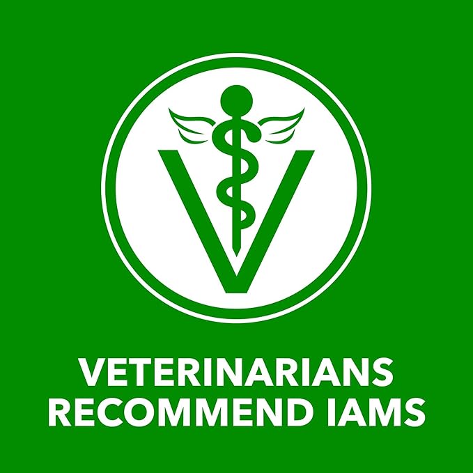 IAMS Proactive Health Adult Wet Dog Food Chunks in Gravy, Beef Recipe, 13 oz. Cans (12 Count, Pack of 2)
