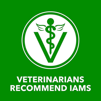 IAMS Proactive Health Adult Wet Dog Food Chunks in Gravy, Beef Recipe, 13 oz. Cans (12 Count, Pack of 2)