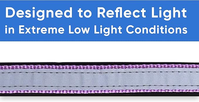 Pawtitas Lumberjack Padded Martingale Collar for Dogs | Soft Neoprene Dog Collar for Your pet's Comfort Made with Reflective Band for Maximum Visibility | Fits Small and Large Pets - Medium Orchid